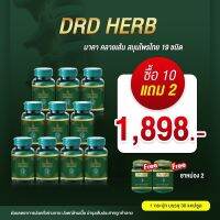 ⚡สุดคุ้ม⚡ นาคาไคเซน เซต 10 ขวด ขวดละ 189 บ. *ส่งฟรี* Naka Kaizen จาก DRD Herb เส้นตึง ร้าวลงขา ข้ออักเสบ ปวดเมื่อย ออฟฟิศซินโดรม ปวดหลัง ปวดขา เส้นยึด