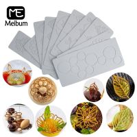 Meibum Dessert Border Decorating Tools 10 Types Sugarcraft Silicone Cake Molds Leaves and Geometric Textures Pastry Lace Mat Bread Cake  Cookie Access