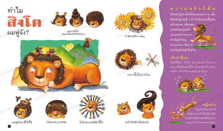 หนังสือเด็ก-why-ทำไมพวกเรารูปร่างแปลกๆ-ความรู้รอบตัวสำหรับเด็ก-เรียนรู้ชีวิตสัตว์โลก-ห้องเรียน