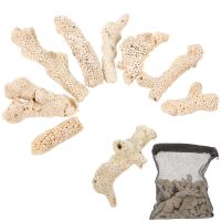 Fish Tank Coral Filter Aquarium Parts Pond Household Media Reusable Bone Filters Accessories