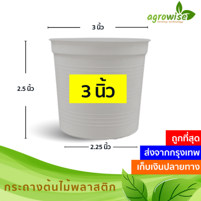 กระทางต้นไม้ กระถางต้นไม้ กะถางต้นไม้ กระบองเพชร กระถางขาว สีขาว 3 นิ้ว 50 ใบ