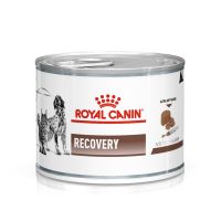 พลาดไม่ได้ โปรโมชั่นส่งฟรี &amp;lt;ราคาพิเศษจำนวนจำกัด&amp;gt;[1 กระป๋อง ]Royal Canin Recovery อาหารชนิดเปียกสำหรับ สุนัขและแมวที่อยู่ระหว่างพักฟื้น 195g.