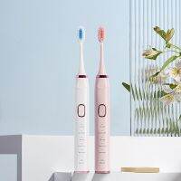 HOKDS Sonic Electric Toothbrush for Couples USB Charging IPX7 Waterproof Large Capacity Battery Adult Ultrasonic Electric Tooth Brush