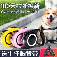 ✕ Yituo two dog leash automatic telescopic with night light dogs walk the teddy commanding supplies