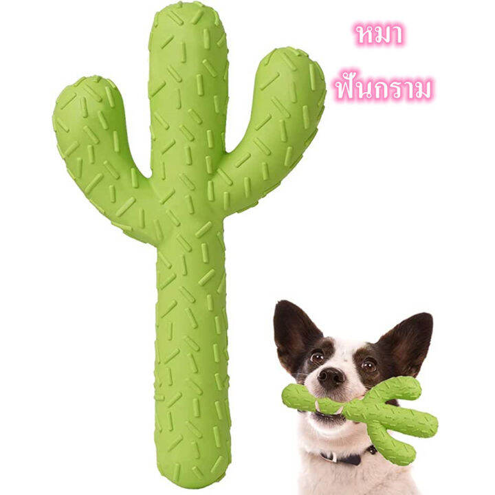 CACTUS Dog Toy   59c9120c7dafec3fe68fd04da2c30b25  720x720q80 