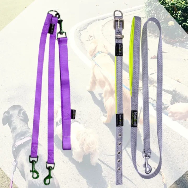 Pet Dog Leash Lazada PH Buy sell online Collars with cheap price