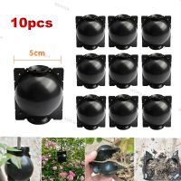 5cm 10Pcs Plant Rooting Equipment High Pressure Propagation Ball Growing Box Breeding Case For Garden Graft Box Sapling WDAGTH