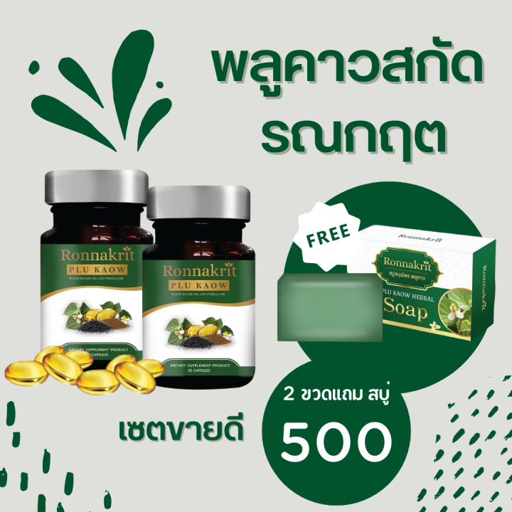 ส่งฟรี-พร้อมส่ง-สะเก็ดเงิน-กลากเกลื้อน-เชื้อรา-สมุนไพรพลูคาว-รณกฤต-อาหารเสริมสมนไพร-พลูคาวสกัด-ภูมิคุ้มกัน-ร่างกายสมดุล