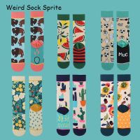 Autumn and winter socks womens stockings plant cactus graffiti cotton socks personality fashion straight trendy socks Socks