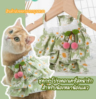 เสื้อหมา  เสื้อแมว ชุดกระโปรงดอกเดซี่สุดสวยงาม (พร้อมส่ง)