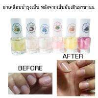 set 6 ชิ้น 6กลิ่น Nail treatment Vitamin E น้ำยาเคลือบเล็บ บำรุงเล็บ ขายปลีส่งเครื่อสำอาง