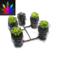 [สินค้าพร้อมจัดส่ง]⭐⭐ชุดปลูกครบเซ็ท Hydroponic Grow System Deep Water Culture (DWC) Complete Kit (4 Bucket + Reservoir Kit) full set[สินค้าใหม่]จัดส่งฟรีมีบริการเก็บเงินปลายทาง⭐⭐