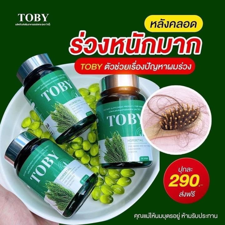 ส่งฟรี-toby-horsetail-วิตามินบำรุงเส้นผม-ผมร่วงหนักมาก-ผมบาง-ผมร่วง-หัวล้าน-ผมร่วงหลังคลอด-ขาดหลุดร่วง-แตกปลาย-ผมแห้งเสีย