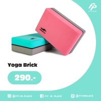 Fit in Place - Joinfit Yoga Brick