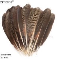 ZPDECOR ขนนกยูงธรรมชาติ30-35ซม.,อุปกรณ์ตกแต่งปีกขนนกขนนกยูง