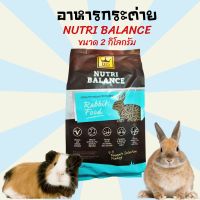 ❗️❗️ SALE ❗️❗️ อาหารกระต่าย ขนมกระต่าย อาหารหนู อาหารหนูตะเภา อาหารหนูแกสบี้   NUTRI BALANCE ขนาด 2 โล !! อาหารสัตว์เลี้ยงขนาดเล็ก Small Pet Food มาตรฐาน โค้งสุดท้าย บริการเก็บเงินปลายทาง ราคาถูก คุณภาพดี โปรดอ่านรายละเอียดก่อนสั่ง