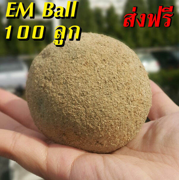 ส่งฟรี-em-ball-จุลินทรีย์-บำบัดน้ำเสีย-ชนิดก้อน-1-ลังบรรจุ-100-ลูก-ทำให้น้ำใส-ลดกลิ่นเน่าเหม็นใน-บ่อกุ้ง-บ่อปลา