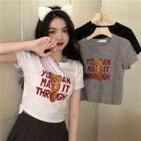 M/L/XL/XXL เสื้อยืดแฟชั่นผู้หญิง เสื้อยืด หมีล็อตโซ่ แฟชั่น หลวม Bear T-shirt