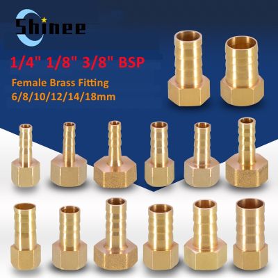 ┇❂☞ Brass Hose Fitting 6/8/10/12/14/18mm Barb Tail 1/8 1/4 3/8 BSP Female Thread Copper Connector Coupler Adapter