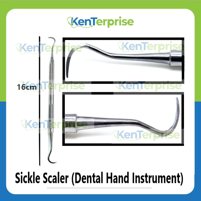 Sickle Scaler (Dental Hand Instrument) Lazada PH