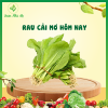 Rau cải mơ vườn nhà mẹ - 1kg rau cải canh tươi xanh, giàu chất xơ - ảnh sản phẩm 1