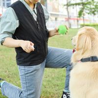 Dog Training Vest Pet Agility Trainer Vest Multi Pockets Vest Jacket For Pet Trainer