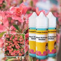 Garden Plant Rapid Flower-Promoting Nutrient Solution Indoor Household 50Ml Promoting Flower-Prolonging Foliar Fertilizer