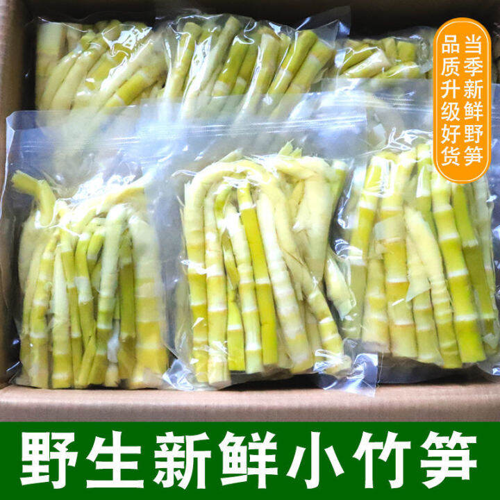 XUPAI 500g 2022 Fresh Bamboo Shoots Farmhouse Small Bamboo Shoots ...