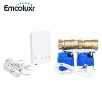 Battery Backup EU Plug Powered Water Leakage Detector with 1/2", 3/4", 1" Motorized Brass Valve and Sensitive Water Sensor Cable