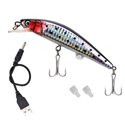 Fishing Bionic Luminous Electric Simulation Twitching Bait USB Charging Bait Lures Fishing Accessories