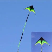 free shipping large prairie delta kites with 10m tails beautiful with handle outdoor toys for kids nylon ripstop