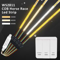 WS2811เทปแถบไฟ LED ที่ไหลได้การแข่งม้าให้น้ำไหลได้ไล่ระดับพิกเซลแบบเบา DC24V ไฟ LED 360ดวง/ม. มีความยืดหยุ่นเย็นธรรมชาติสีขาวอบอุ่น