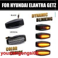 ไฟเลี้ยวด้านข้างของบังโคลนรถแบบ LED ตัววัดน้ำลื่นไหลสำหรับ Hyundai Elantra Getz Sonata XG Terracan Tucson KIA RIO (08)