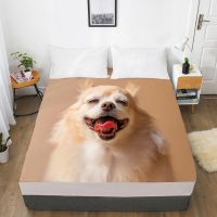 【CW】 Luxury Elastic fitted sheet bed With An Band Mattress Cover Customizable size Bed for home animal laugh