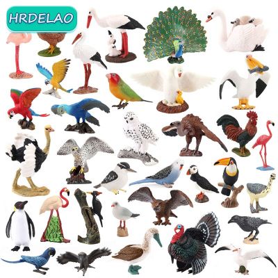 ZZOOI Simulation Bird Animal Flamingos Parrot Sea Mew Peacock Owl Ostrich Model Action Figures Miniature Educational toys for children