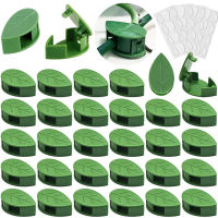 10-30Pcs Plant Climbing Wall Fixture คลิปอะคริลิคสติกเกอร์ Self-Adhesive Hook Plant Vine Traction ผู้ถือในร่มกลางแจ้ง Decor