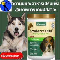 วิตามินและอาหารเสริมช่วยสนับสนุนระบบทางเดินปัสสาวะที่แข็งแรง NaturVet, Cranberry Relief Plus Echinacea, For Dogs, Separate sale applicable