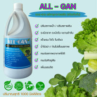 All-gan ปุ๋ยน้ำสำหรับผักไฮโดรโปนิกส์ แร่ธาตุเสริมชนิดเข้มข้น ครบถ้วนปลอดภัย  เร่งโต ลดน้ำเสีย  ขนาด 1000 มล.