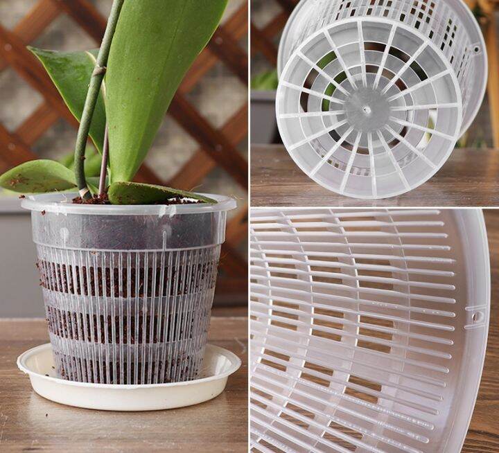 cc-root-controlled-transparent-flowerpot-for-cattleya-planting-with-stomata-home-decoration-plastic