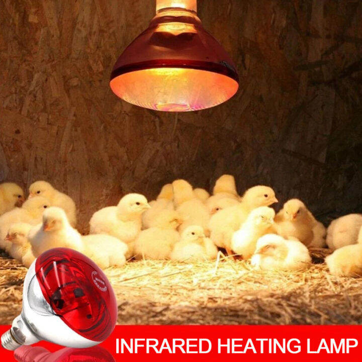 Poultry 220V Heating Lamp Bulb Thermal Preservation Heat Infrared Ray