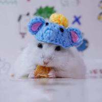 Cute Mini Pet Hat Small Animal Clothing For Hedgehog Hamsters Hat V0U0