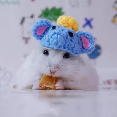 Cute Mini Pet Hat Small Animal Clothing For Hedgehog Hat Hamsters A9U1