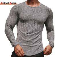 Fashion Mens Casual Quick-drying Sports Tight Bottoming Shirt Fitness Striped Training Long-sleeved T-shirt Couple Yoga Tops