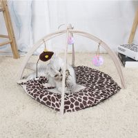 【JCHEN pet supplie】 Play Mat Activity Center With Jellycats Kitten A Smallfor Cats To Play