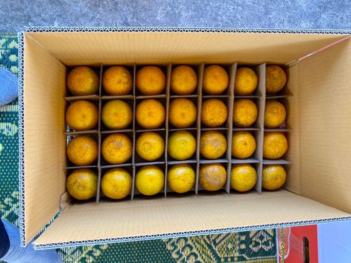ส้ม 10  กิโล เบอร์ 5 จำนวน 84 ลูก ส้มสายน้ำผึ้ง แท้ 100% ปลอดสารแว๊กซ์ สดจากสวนทุกวัน หวานฉ่ำ ส้มไหว้เจ้า ของฝากของขวัญ