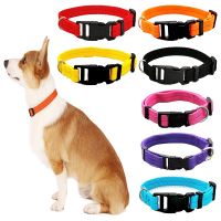 Dog Training Collar Dog Collar Solid Color Pet Dog Cat Collar Teddy Bear Small Dog Collars Puppies Medium Dog Pet Supplies