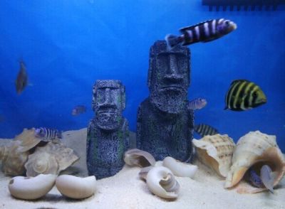 หินตกแต่งตู้ปลา รูปหินหน้าคนเกาะอีสเตอร์ เหมือนจริง เป็นธรรมชาติ วัสดุเรซิน ปลอดภัยกับสิ่งมีชีวิตในตู้ปลา ส่งจากประเทศไทย