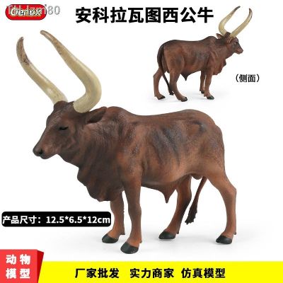 🎁 ของขวัญ Ankola Watusi Bull รุ่น Solid จำลองสัตว์รุ่นสัตว์ปีก Ranch เด็กของเล่นเพื่อการศึกษาก่อนวัยอันควร