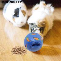 Interactive Rabbit Treat Ball Pet Slow Feeder Bunny Toys Snack Toy Ball Bite Resistant Feeding Toys Ferret for Kitten Guinea Pig