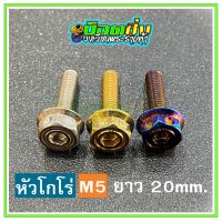 น็อตสแตนเลส หัวโกโร่ ขนาดเกลียว m5 ยาว 20 mm.